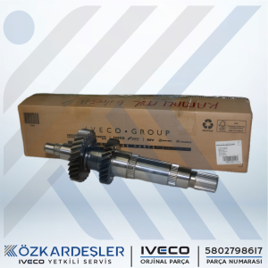 5802798617-MİL, ANA ŞANZIMAN (6 İLERİ)(8871255)